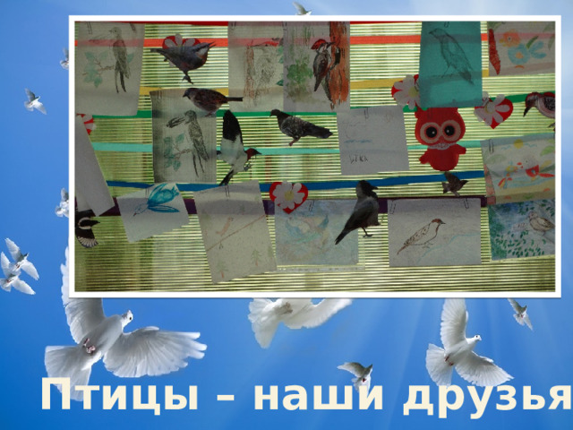 Птицы – наши друзья 