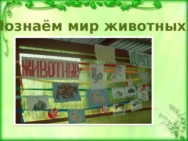 Познаём мир животных 
