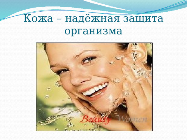 Кожа – надёжная защита организма 