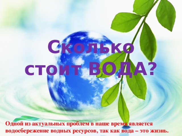 Сколько стоит ВОДА? Одной из актуальных проблем в наше время является водосбережение водных ресурсов, так как вода – это жизнь. 