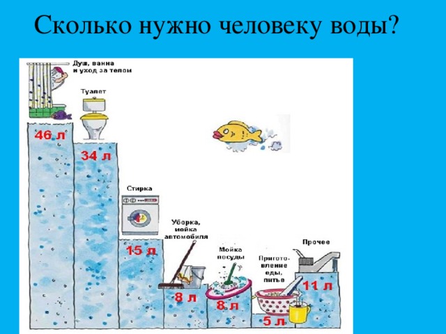 Сколько нужно человеку воды? 