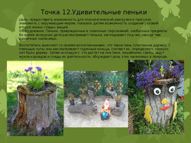 Точка 12.Удивительные пеньки Цель: предоставить возможность для психологической разгрузки и прогулок, знакомить с окружающим миром, показать детям возможность создания условий второй жизни старых вещей. Оборудование. Пеньки, превращенные в сказочных персонажей, необычные предметы Во время экскурсии дети рассматривают пеньки, заглядывают под них находя там различных насекомых. Воспитатель выясняет со своими воспитанниками, что такое пень (спиленное дерево). С помощью лупы они рассматривают годичные кольца, считают их, определяют, сколько лет было дереву. Затем исследуют, что растет на пне (мхи, лишайники, грибы, ищут жуков короедов и следы их деятельности, обсуждают роль этих насекомых в природе. 