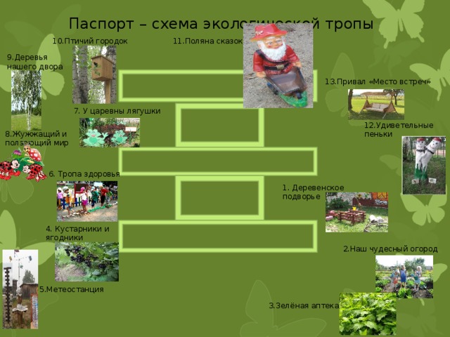 Паспорт – схема экологической тропы 11.Поляна сказок 10.Птичий городок 9.Деревья нашего двора 13.Привал «Место встреч» 7. У царевны лягушки 12.Удиветельные пеньки 8.Жужжащий и ползающий мир 6. Тропа здоровья 1. Деревенское подворье 4. Кустарники и ягодники 2.Наш чудесный огород 5.Метеостанция 3.Зелёная аптека 