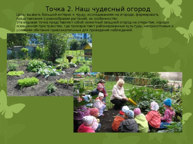 Точка 2. Наш чудесный огород Цель: вызвать большой интерес к труду, исследованиям на огороде, формировать представления о разнообразии растений, их особенностях. Эта видовая точка представляет собой сюжетный овощной огород на открытом, хорошо освещенном пространстве, где произрастают районированные культуры, неприхотливые к условиям обитания привлекательные для проведения наблюдений. 