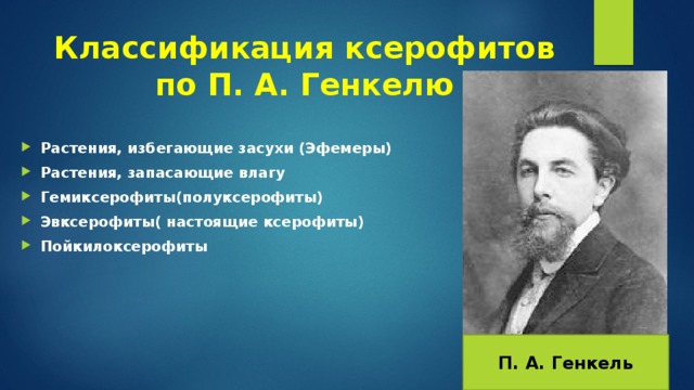 Классификация ксерофитов по П. А. Генкелю Растения, избегающие засухи (Эфемеры) Растения, запасающие влагу Гемиксерофиты(полуксерофиты) Эвксерофиты( настоящие ксерофиты) Пойкилоксерофиты П. А. Генкель 