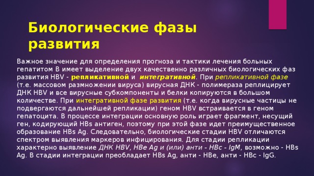 Биологические фазы развития Важное значение для определения прогноза и тактики лечения больных гепатитом В имеет выделение двух качественно различных биологических фаз развития HBV -  репликативной   и    интегративной . При репликативной фазе (т.е. массовом размножении вируса) вирусная ДНК - полимераза реплицирует ДНК HBV и все вирусные субкомпоненты и белки копируются в большом количестве. При интегративной фазе развития (т.е. когда вирусные частицы не подвергаются дальнейшей репликации) геном HBV встраивается в геном гепатоцита. В процессе интеграции основную роль играет фрагмент, несущий ген, кодирующий HBs антиген, поэтому при этой фазе идет преимущественное образование HBs Ag. Следовательно, биологические стадии HBV отличаются спектром выявления маркеров инфицирования. Для стадии репликации характерно выявление  ДНК HBV, HBe   Ag   и (или) анти - HBc - IgM , возможно - HBs Ag. В стадии интеграции преобладает HBs Ag, анти - HBe, анти - HBc - IgG. 