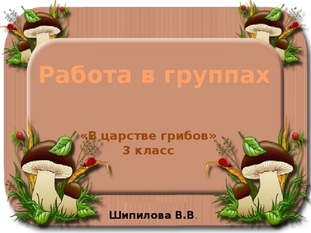 Работа в группах «В царстве грибов» 3 класс Шипилова В.В . 