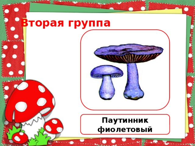 Вторая группа Паутинник фиолетовый 