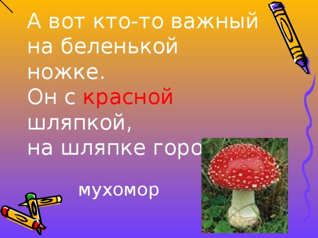 А вот кто-то важный  на беленькой ножке.  Он с красной шляпкой,  на шляпке горошки. мухомор 
