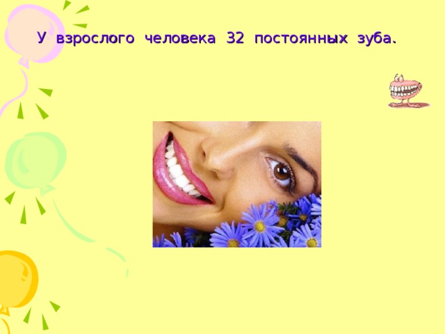 У взрослого человека 32 постоянных зуба.  