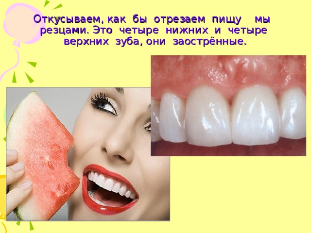 Откусываем, как бы отрезаем пищу мы резцами. Это четыре нижних и четыре верхних зуба, они заострённые. 