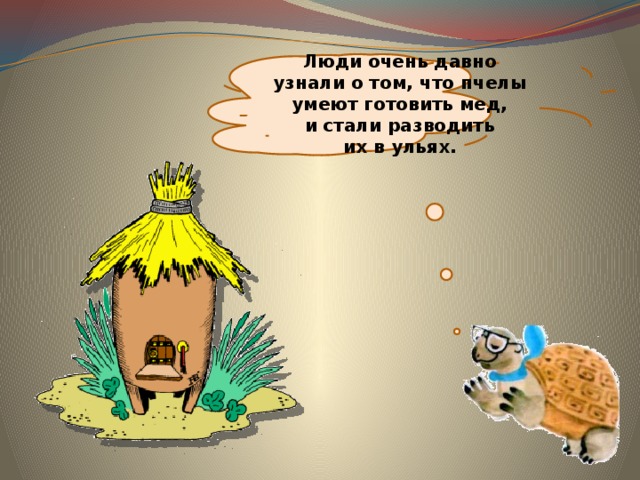 Люди очень давно узнали о том, что пчелы умеют готовить мед, и стали разводить их в ульях. 