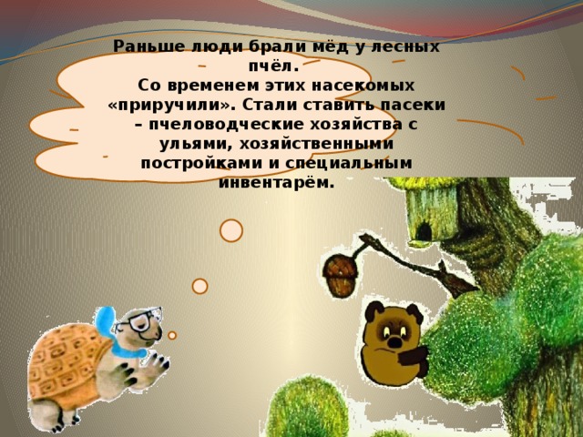 Раньше люди брали мёд у лесных пчёл. Со временем этих насекомых «приручили». Стали ставить пасеки – пчеловодческие хозяйства с ульями, хозяйственными постройками и специальным инвентарём. 