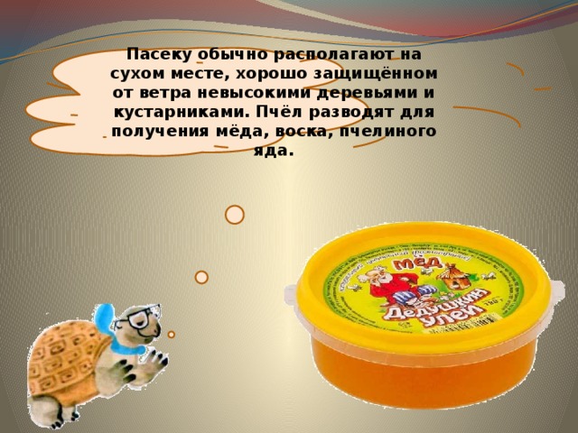 Пасеку обычно располагают на сухом месте, хорошо защищённом от ветра невысокими деревьями и кустарниками. Пчёл разводят для получения мёда, воска, пчелиного яда. 