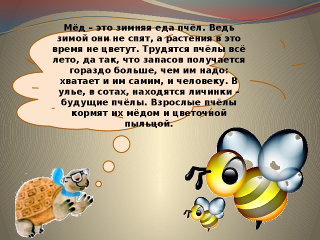Мёд – это зимняя еда пчёл. Ведь зимой они не спят, а растения в это время не цветут. Трудятся пчёлы всё лето, да так, что запасов получается гораздо больше, чем им надо: хватает и им самим, и человеку. В улье, в сотах, находятся личинки – будущие пчёлы. Взрослые пчёлы кормят их мёдом и цветочной пыльцой. 