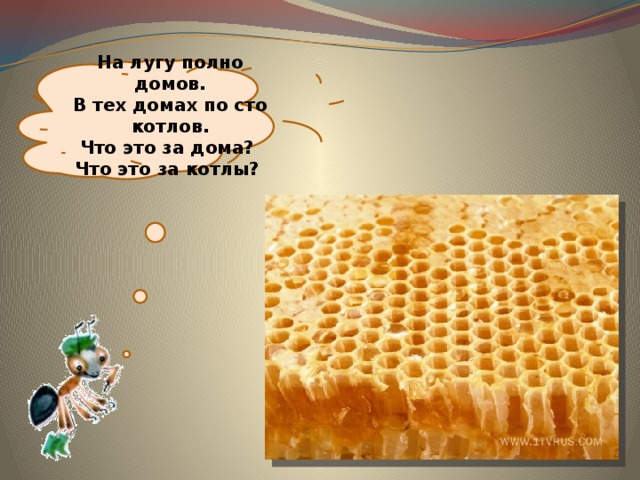 На лугу полно домов.  В тех домах по сто котлов.  Что это за дома?  Что это за котлы? 