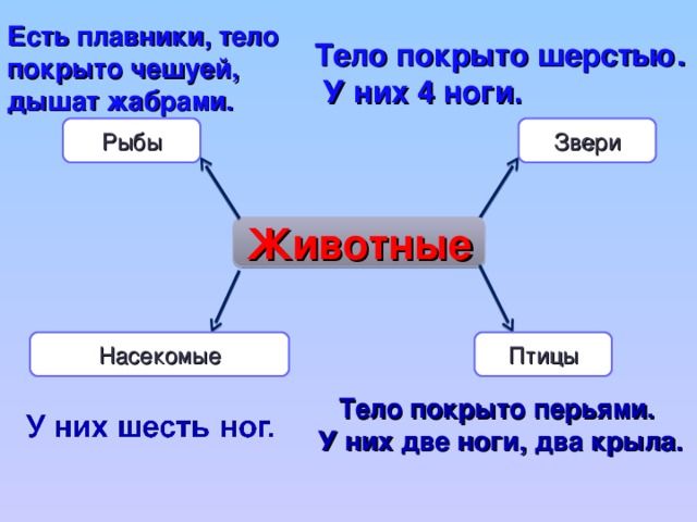 Есть плавники, тело покрыто чешуей, дышат жабрами. Тело покрыто шерстью.  У них 4 ноги.  Рыбы Звери Животные Насекомые Птицы Тело покрыто перьями.  У них две ноги, два крыла.  