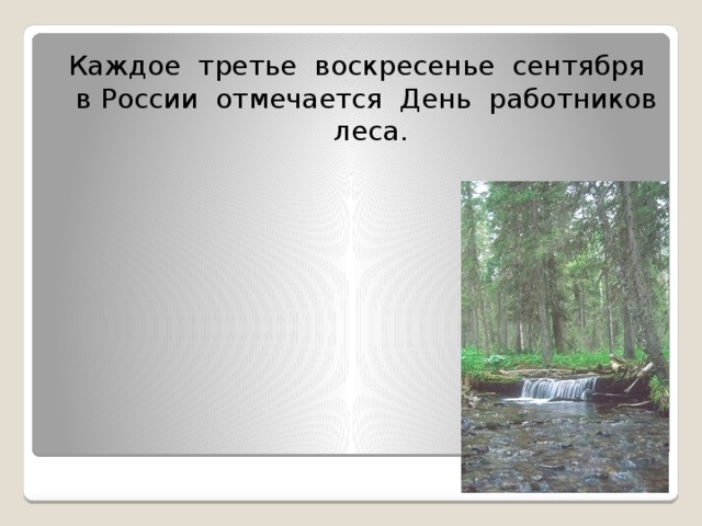 Каждое третье воскресенье сентября в России отмечается День работников леса.