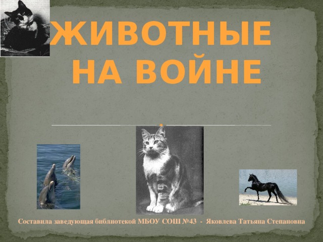 ЖИВОТНЫЕ  НА ВОЙНЕ Составила заведующая библиотекой МБОУ СОШ №43 - Яковлева Татьяна Степановна 