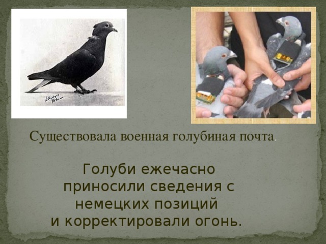 Существовала военная голубиная почта . Голуби ежечасно приносили сведения с немецких позиций и корректировали огонь. 