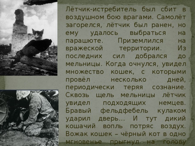 Лётчик-истребитель был сбит в воздушном бою врагами. Самолёт загорелся, лётчик был ранен, но ему удалось выбраться на парашюте. Приземлился на вражеской территории. Из последних сил добрался до мельницы. Когда очнулся, увидел множество кошек, с которыми провёл несколько дней, периодически теряя сознание. Сквозь щель мельницы лётчик увидел подходящих немцев. Бравый фельдфебель кулаком ударил дверь… И тут дикий кошачий вопль потряс воздух. Вожак кошек – чёрный кот в одно мгновенье прыгнул на голову немца и стал раздирать когтями ему лицо. Немцы ушли. На следующий день пришли партизаны. 