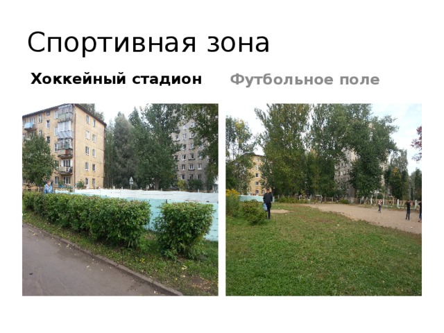 Спортивная зона Хоккейный стадион Футбольное поле 