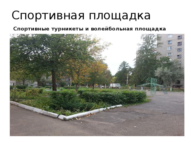 Спортивная площадка Спортивные турникеты и волейбольная площадка 