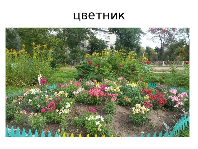 цветник 