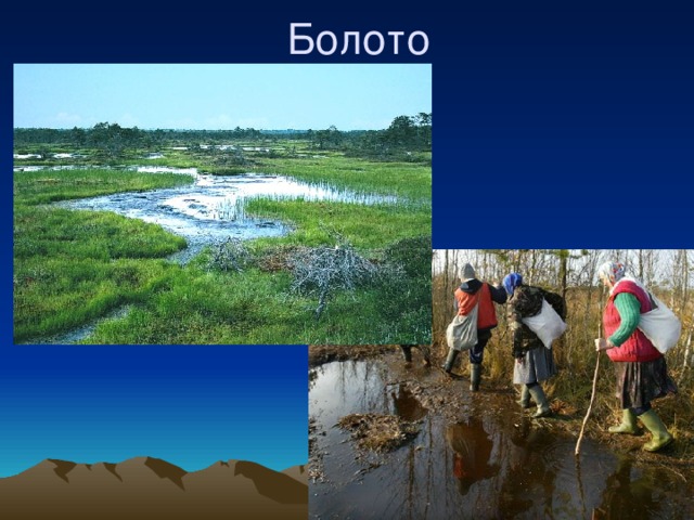 Болото 