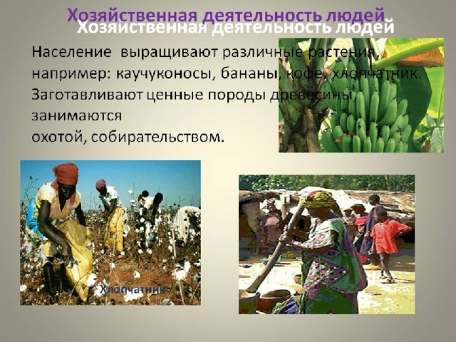Основные виды деятельности населения Африки 