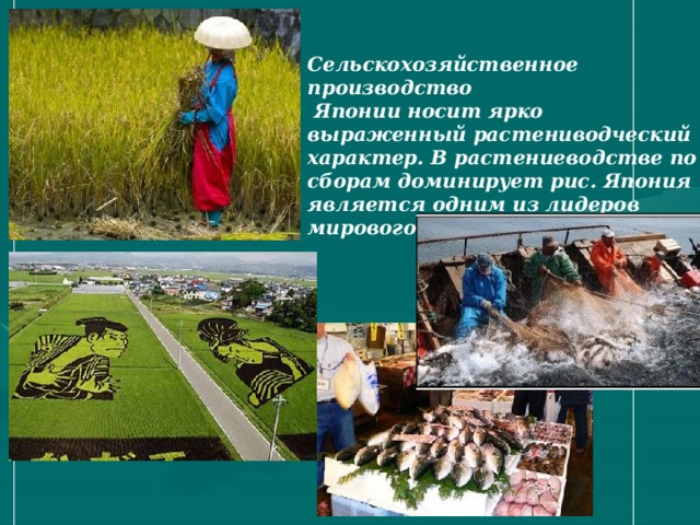 Сельскохозяйственное производство  Японии носит ярко выраженный растениводческий характер. В растениеводстве по сборам доминирует рис. Япония является одним из лидеров мирового рыболовства . 