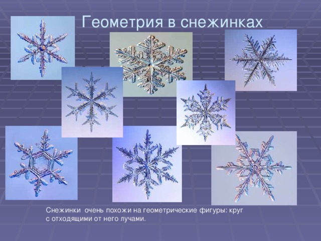  Геометрия в снежинках Cнежинки очень похожи на геометрические фигуры: круг с отходящими от него лучами. 