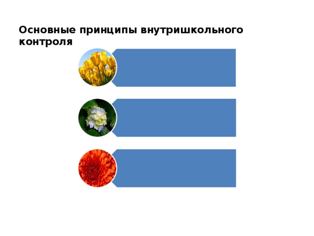    Основные принципы внутришкольного контроля 