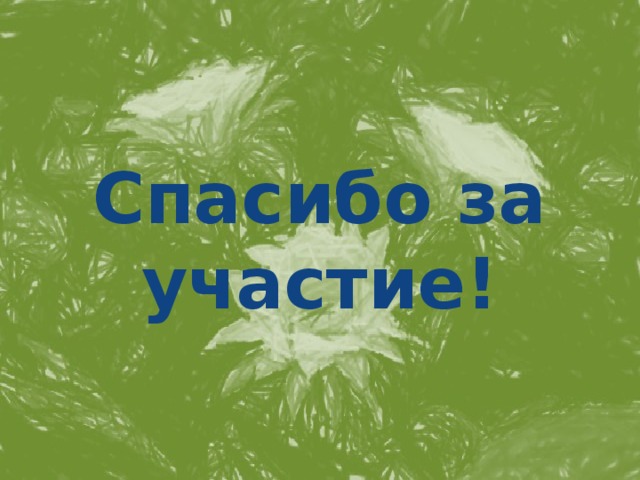 Спасибо за участие! 