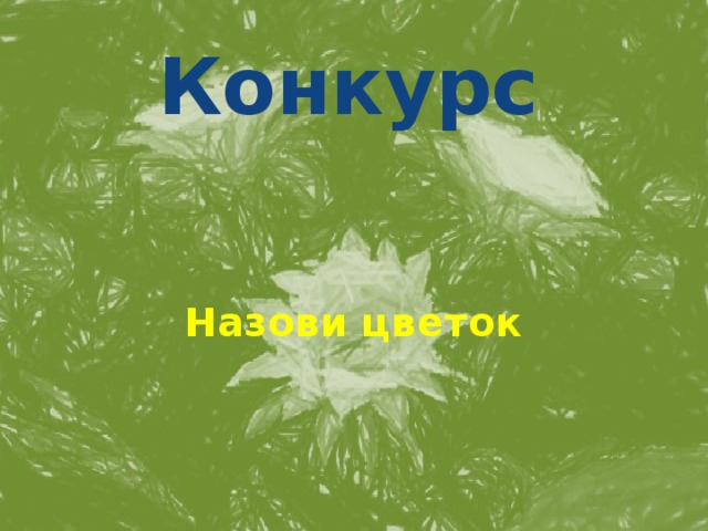 Конкурс Назови цветок 