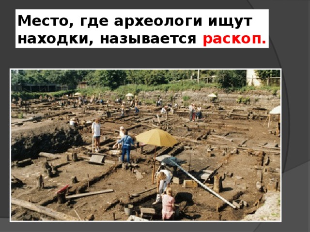 Место, где археологи ищут находки, называется раскоп. 