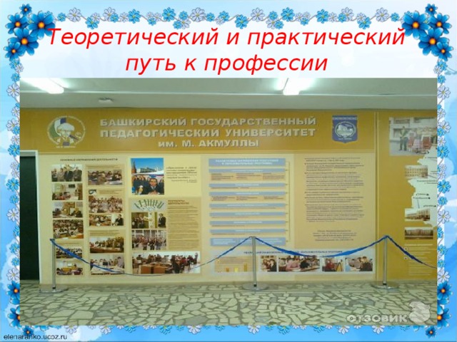 Теоретический и практический путь к профессии 