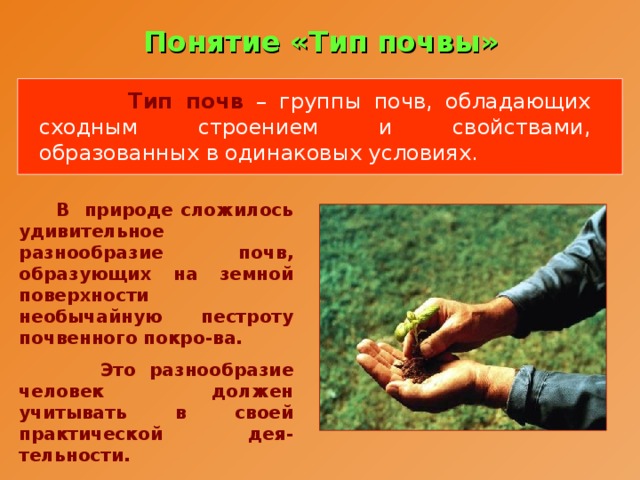 Понятие «Тип почвы»  Тип почв – группы почв, обладающих сходным строением и свойствами, образованных в одинаковых условиях.  В природе сложилось удивительное разнообразие почв, образующих на земной поверхности необычайную пестроту почвенного покро-ва.  Это разнообразие человек должен учитывать в своей практической дея-тельности. 