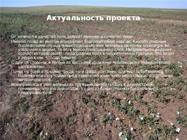 Актуальность проекта От наличия и качества почв зависит наличие и качество пищи. Именно почва во многом определяет благосостояние народа. К особо опасным последствиям отрицательного воздействия человека на почвы относится их ускоренная эрозия, то есть вынос плодородного слоя. Неправильное ведение хозяйства превращает плодородные поля в безжизненные пустыни. Это ведет к неурожаям, голоду, нищете. С другой стороны, в погоне за высокими урожаями производится передозировка удобрениями. Почва не только предмет труда, но и среда обитания для многих организмов. Наличие или отсутствие представителей животного мира говорит о состоянии почвенного слоя… Всматриваясь в этих маленьких тружеников, обитающих в данной среде, понимаешь, что это они создают одно из самых главных богатств мира – плодородие почв. 