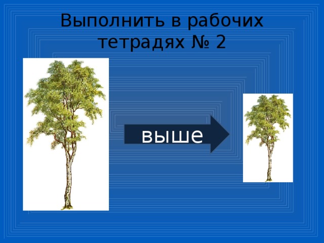 Выполнить в рабочих тетрадях № 2 выше 