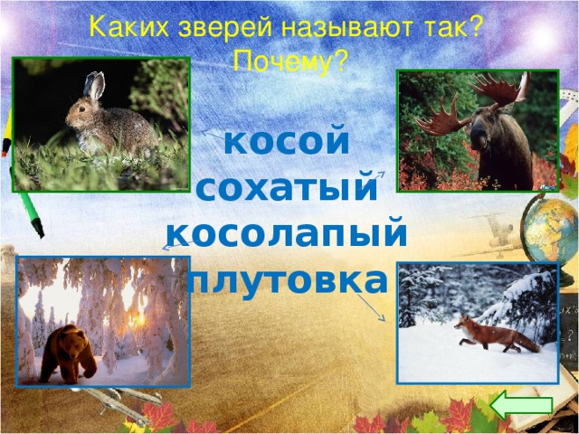 Каких зверей называют так?  Почему? косой сохатый косолапый плутовка 