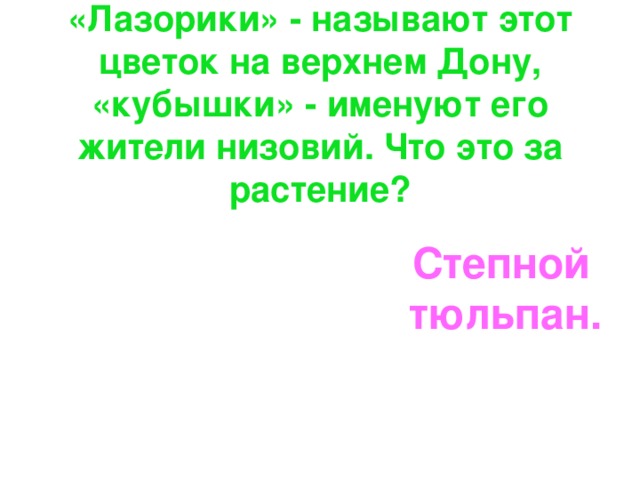      «Лазорики» - называют этот цветок на верхнем Дону, «кубышки» - именуют его жители низовий. Что это за растение?        Степной тюльпан.  