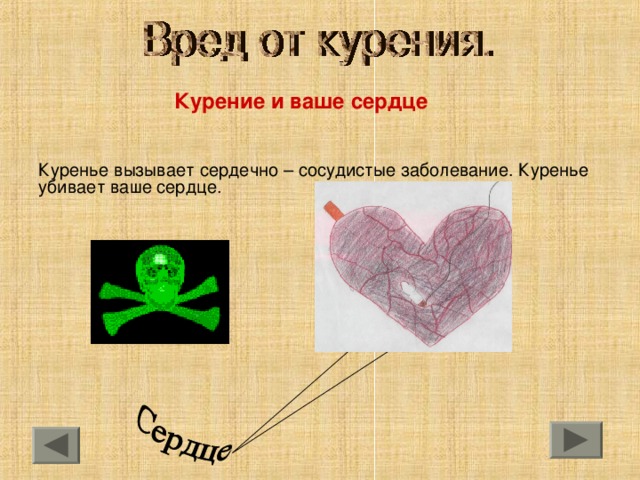 Курение и ваше сердце  Куренье вызывает сердечно – сосудистые заболевание. Куренье убивает ваше сердце. 
