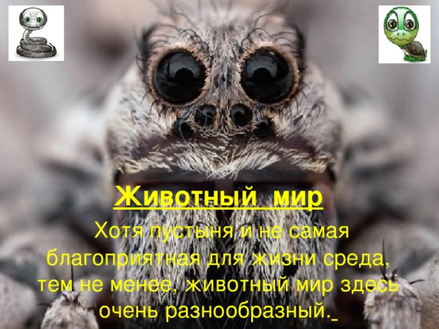 Животный мир   Хотя пустыня и не самая благоприятная для жизни среда, тем не менее, животный мир здесь очень разнообразный.  