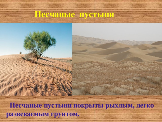  Песчаные пустыни  Песчаные пустыни покрыты рыхлым , легко развеваемым грунтом .  