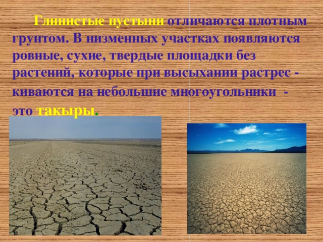  Глинистые пустыни отличаются плотным грунтом . В низменных участках появляются  ровные , сухие , твердые площадки без растений , которые при высыхании растрес - киваются на небольшие многоугольники -  это  такыры .  