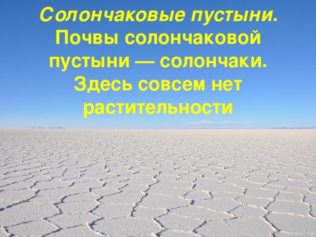 Солончаковые пустыни . Почвы солончаковой пустыни — солончаки. Здесь совсем нет растительности  