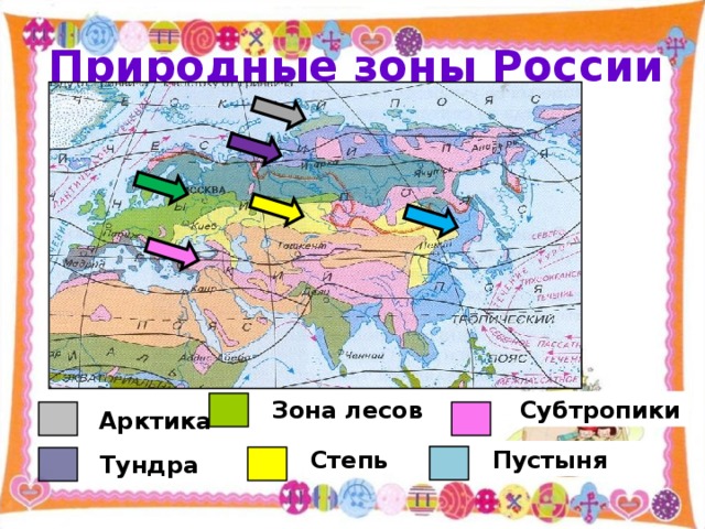 Природные зоны России Зона лесов Субтропики Арктика Степь Пустыня Тундра 