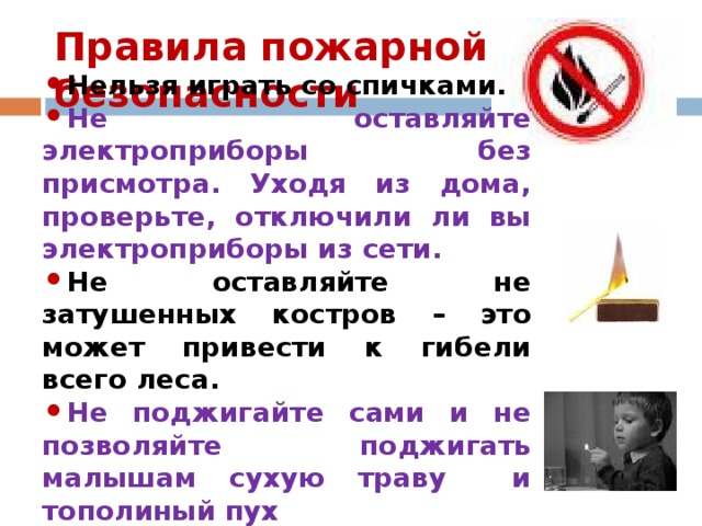 Правила пожарной безопасности Нельзя играть со спичками. Не оставляйте электроприборы без присмотра. Уходя из дома, проверьте, отключили ли вы электроприборы из сети. Не оставляйте не затушенных костров – это может привести к гибели всего леса. Не поджигайте сами и не позволяйте поджигать малышам сухую траву и тополиный пух 