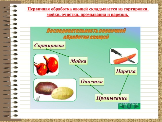 Первичная обработка овощей складывается из сортировки, мойки, очистки, промывания и нарезки.  